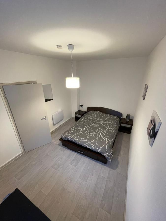 Superbe Appartement Renove Au Centre De Forbach Kültér fotó
